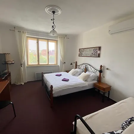 1921 Country house Jevisovice